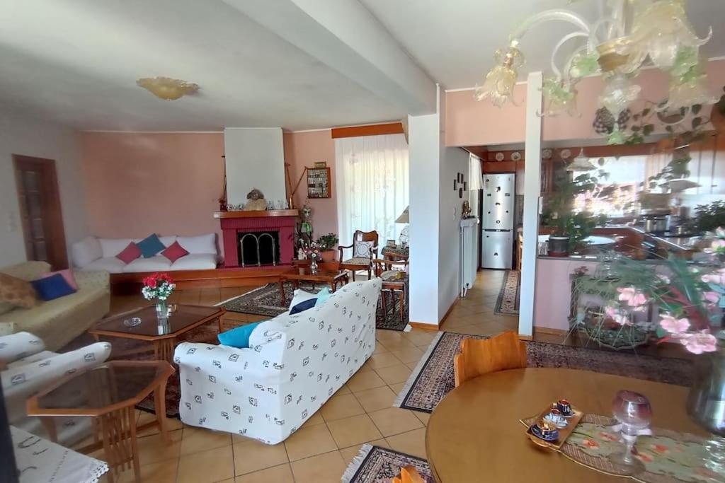 τριών υπνοδωμάτιων. Apartment Ioannina